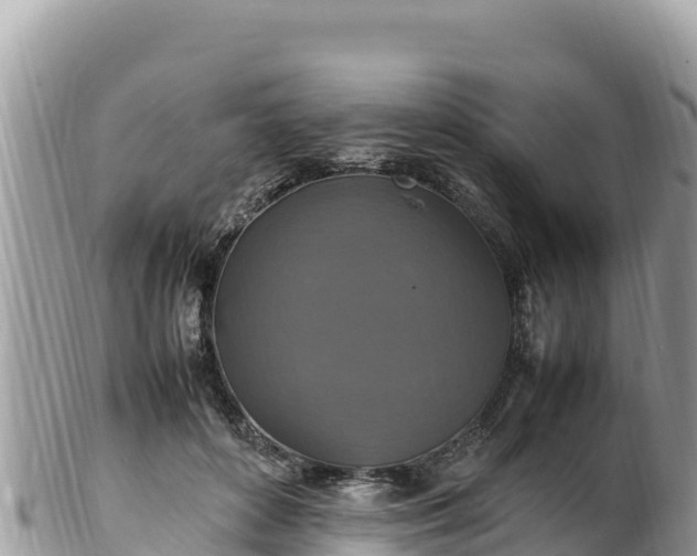 X0000102250504200808011314