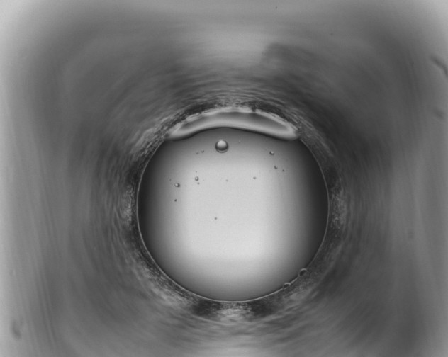 X0000102250505200808011314