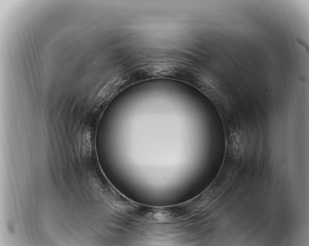 X0000102250506200808011314