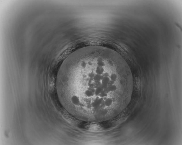 X0000102250507200808011314