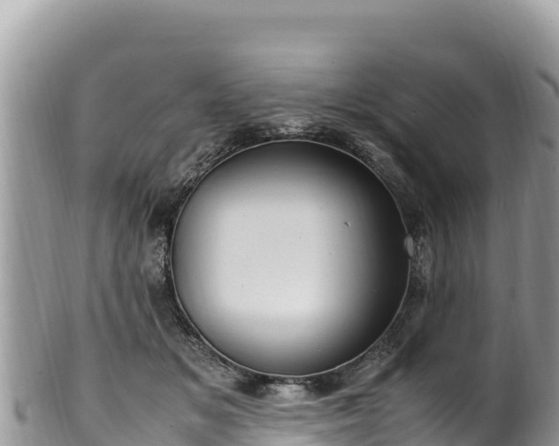 X0000102250509200808011314