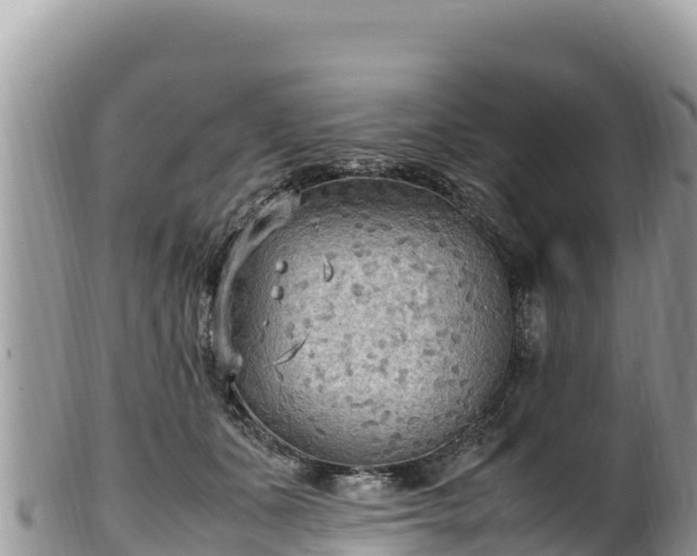 X0000102250511200808011314