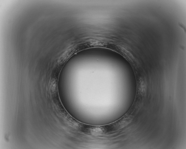 X0000102250513200808011314