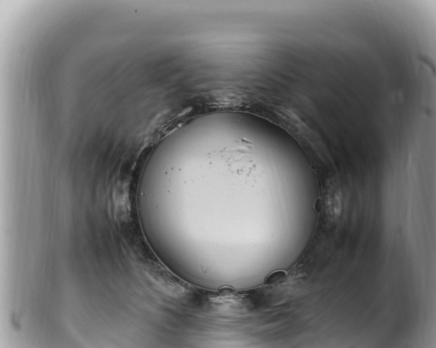 X0000102250516200808011314