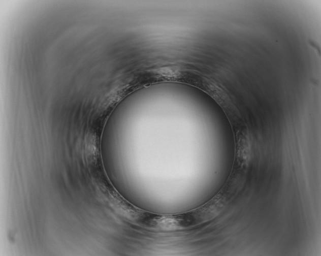 X0000102250518200808011314