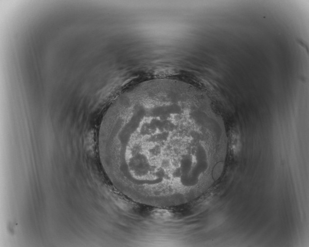 X0000102250519200808011314