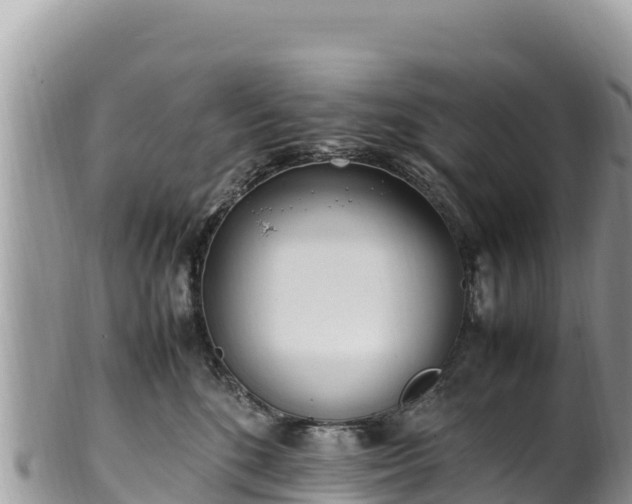 X0000102250520200808011314