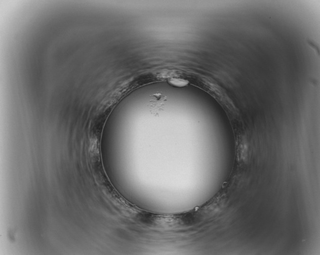 X0000102250521200808011314