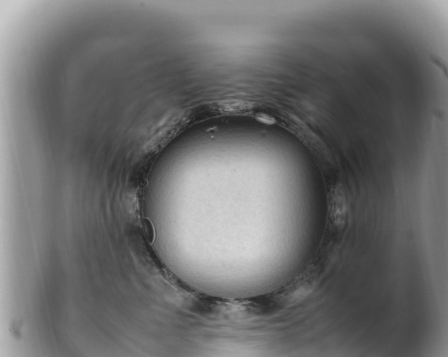 X0000102250523200808011313