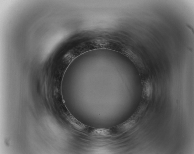 X0000102250526200808011313