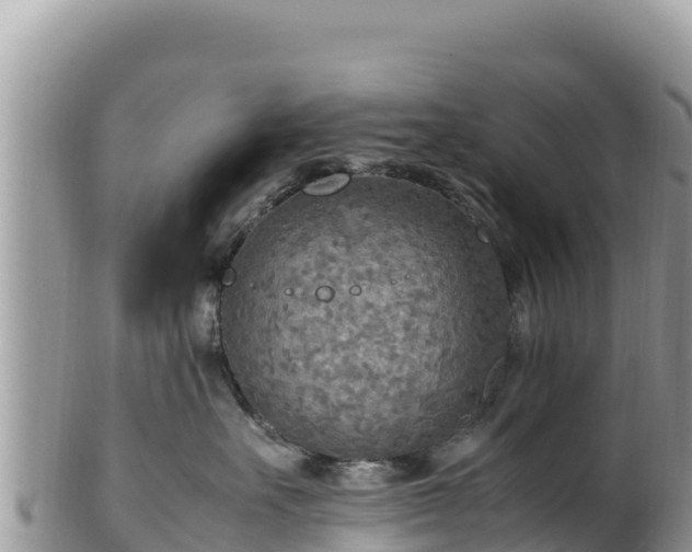 X0000102250527200808011313