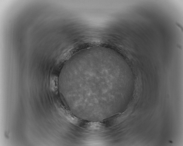 X0000102250528200808011313