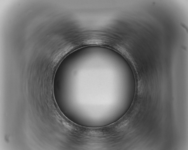 X0000102250529200808011313