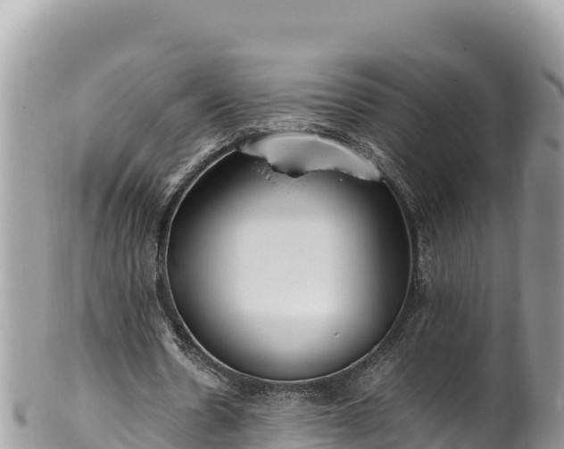 X0000102250530200808011313