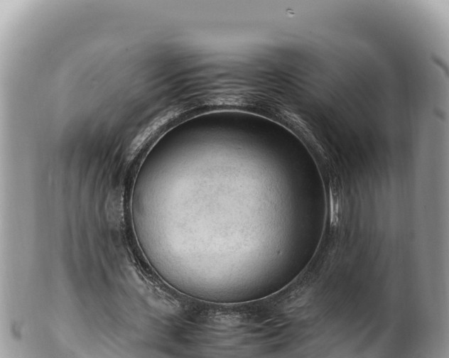 X0000102250531200808011313