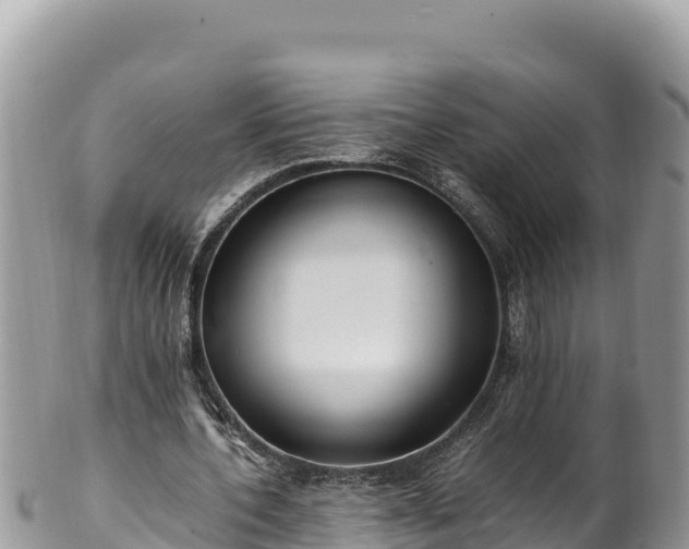 X0000102250532200808011313