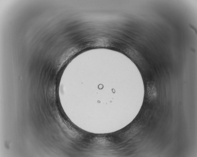 X0000102250534200808011313