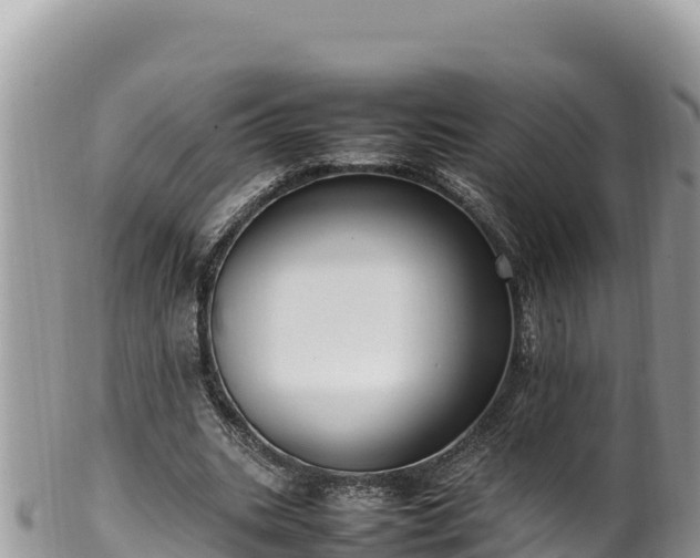 X0000102250535200808011313