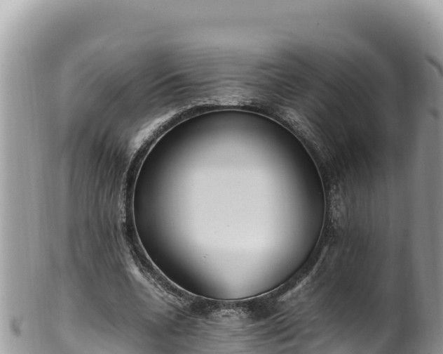 X0000102250536200808011313