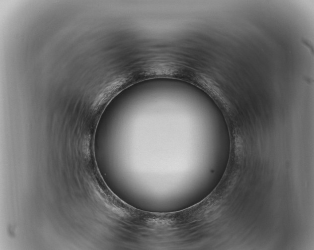 X0000102250537200808011313