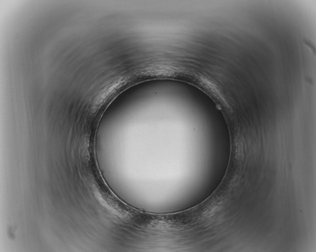 X0000102250538200808011313