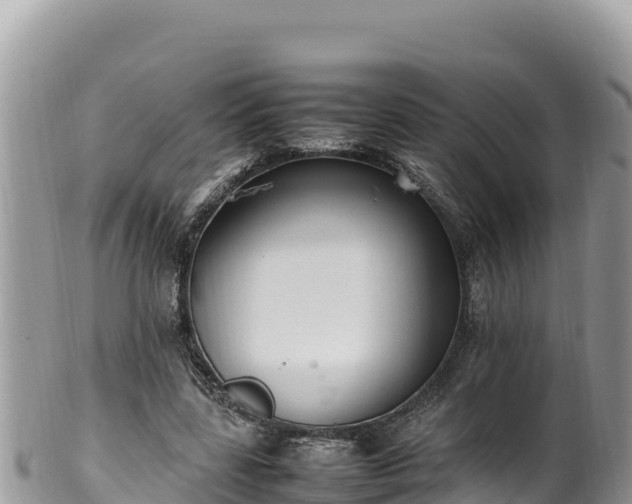 X0000102250539200808011313