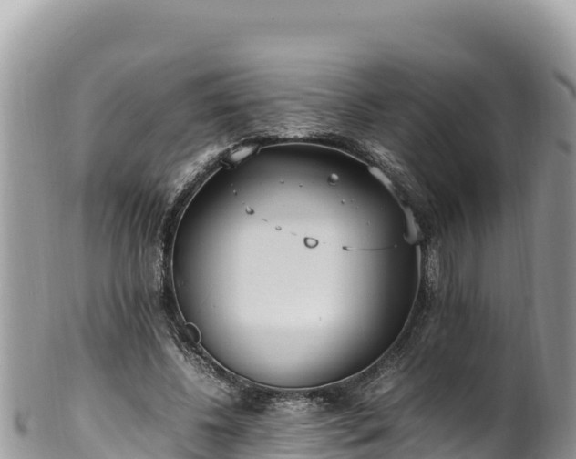 X0000102250540200808011313