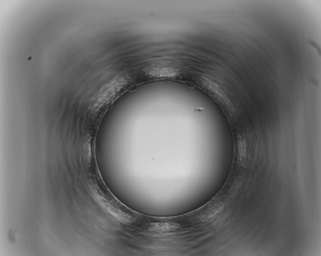 X0000102250541200808011313