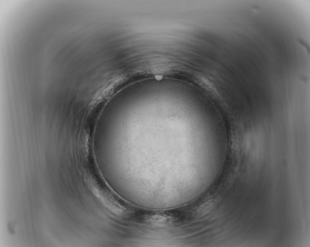 X0000102250542200808011313