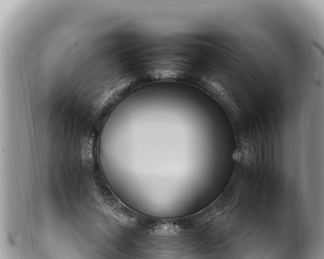 X0000102250543200808011313