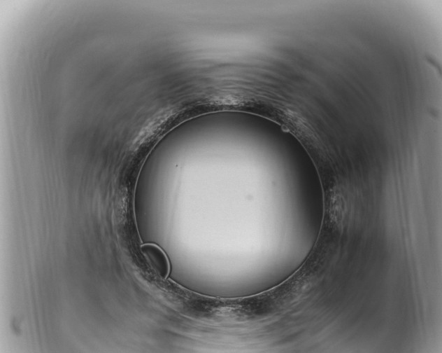 X0000102250544200808011313