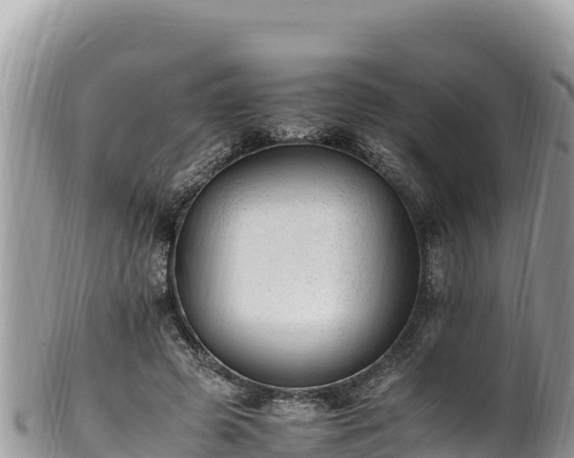 X0000102250545200808011313