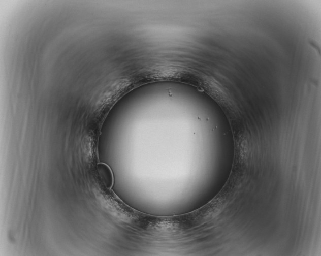 X0000102250546200808011313