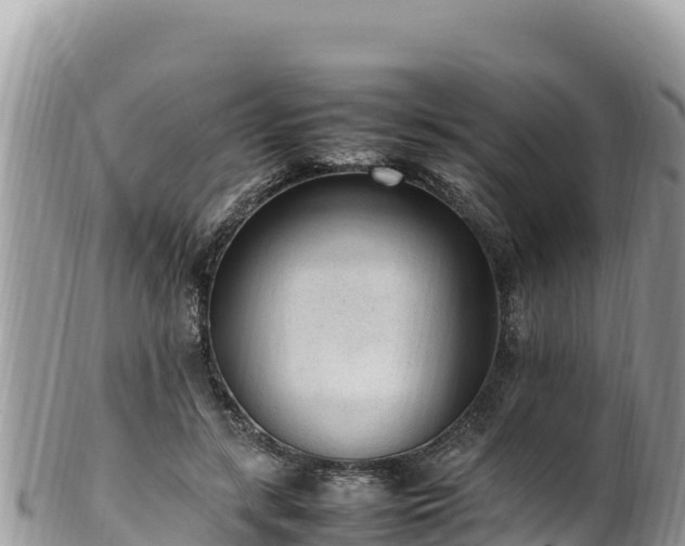 X0000102250547200808011313