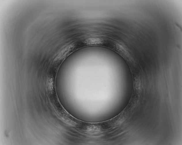 X0000102250549200808011313