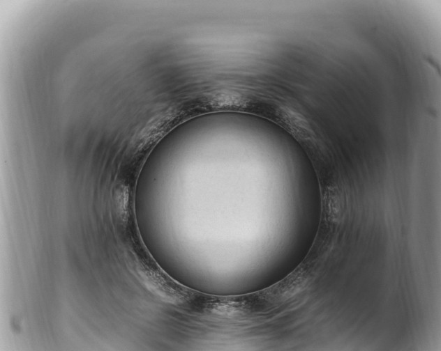 X0000102250550200808011313