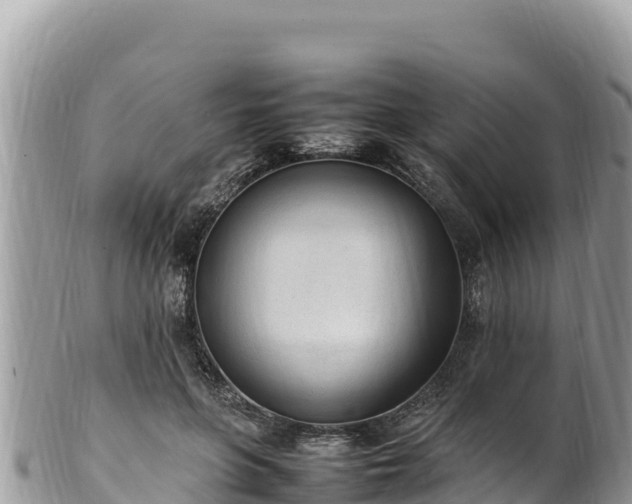 X0000102250551200808011313