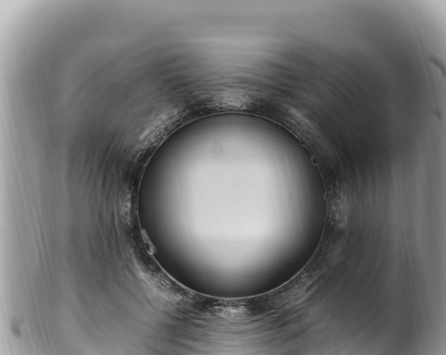 X0000102250552200808011313