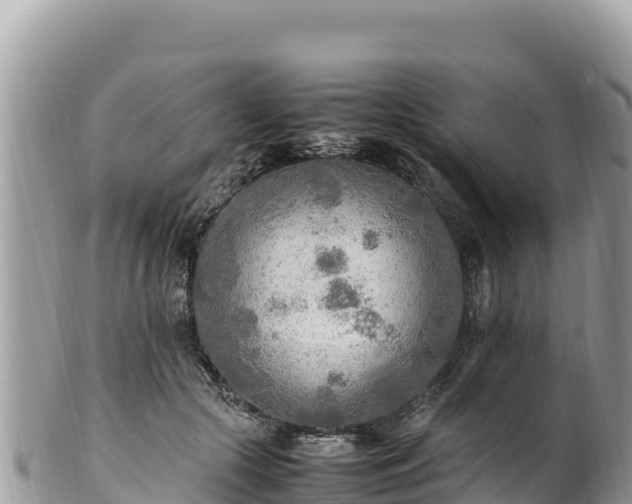 X0000102250553200808011313