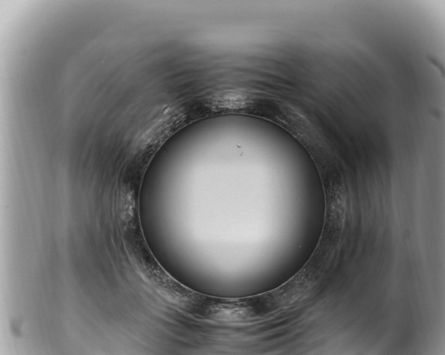 X0000102250555200808011313