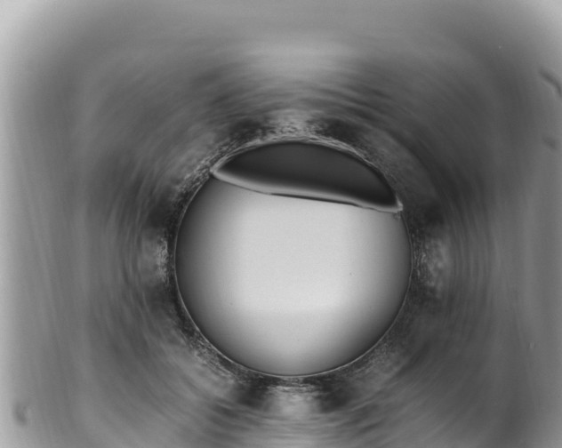 X0000102250556200808011313