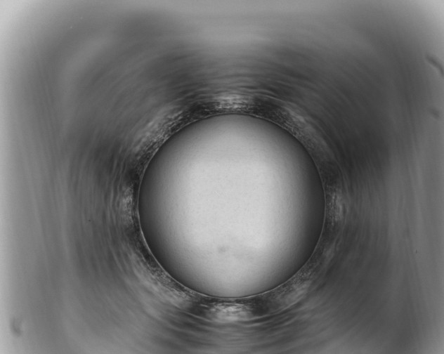 X0000102250557200808011313