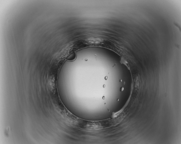 X0000102250559200808011313