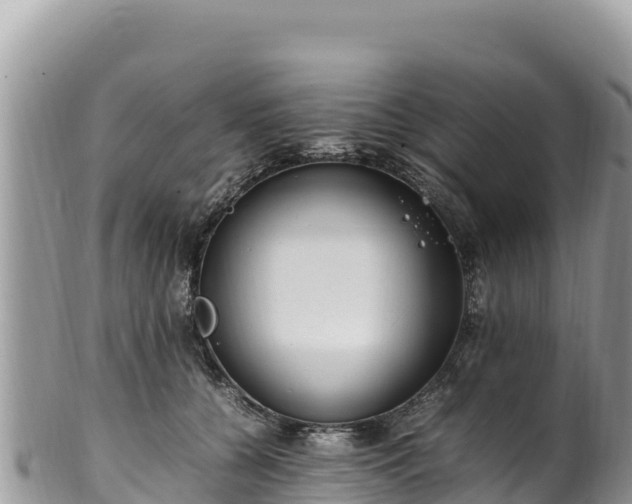 X0000102250560200808011313