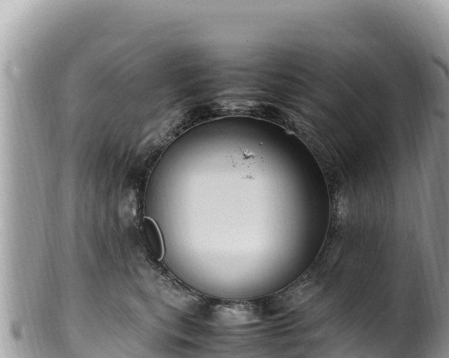 X0000102250567200808011313