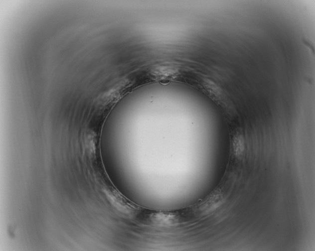 X0000102250570200808011313