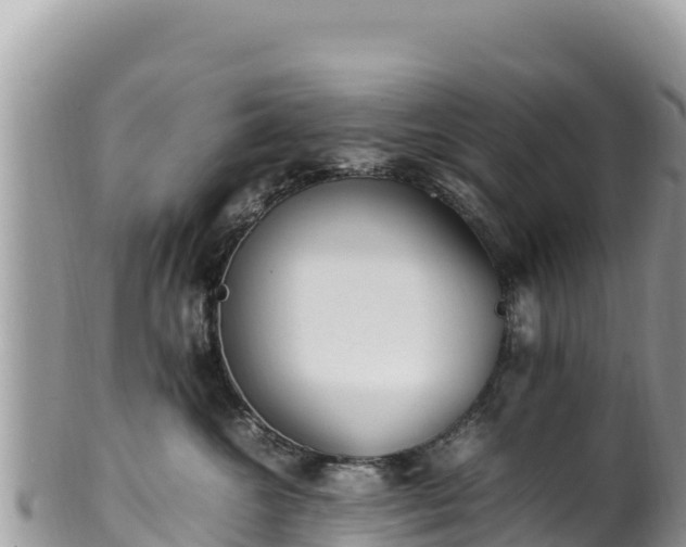 X0000102250572200808011313