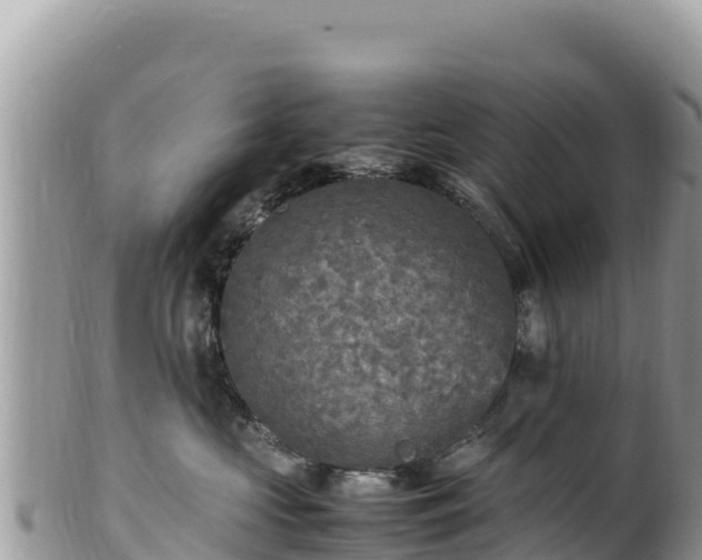 X0000102250573200808011313