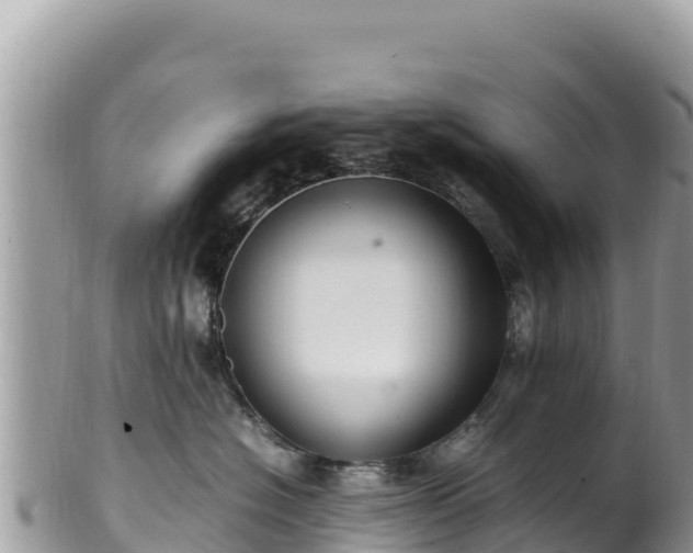 X0000102250574200808011313