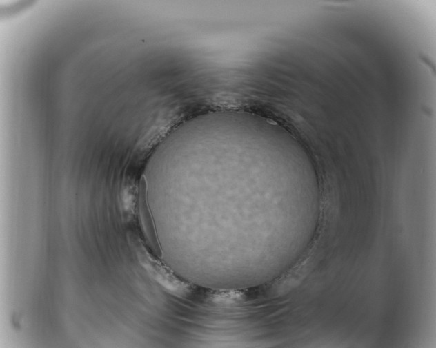 X0000102250576200808011313